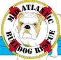 Mid Atlantic Bulldog Rescue, NJ