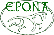 E.P.O.N.A.