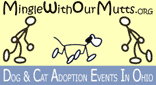 Mingle with our Mutts