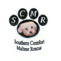 Southern Comfort Maltese Rescue