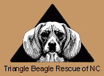 Tribeagles of NC