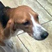 Thelma