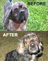 sawyerbefore_after200.jpg