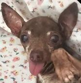 Benito