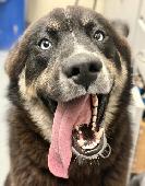 8&nbsp;Blue