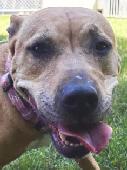 Josie