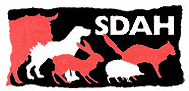 SDAH Swindon