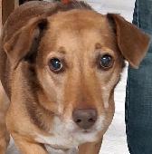 Moki