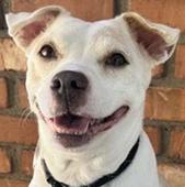 Baby