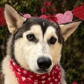 Yukon