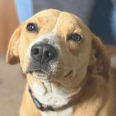 Chloe