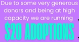 $20adoptions156.jpg