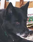 Jax
